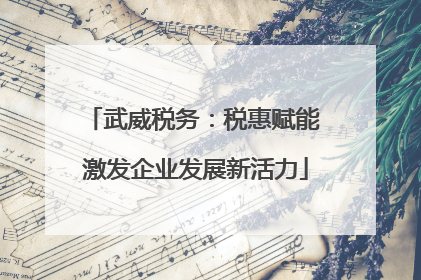 武威税务：税惠赋能 激发企业发展新活力