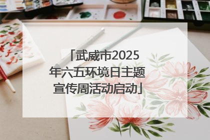武威市2025年六五环境日主题宣传周活动启动