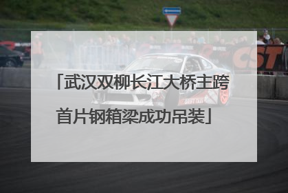 武汉双柳长江大桥主跨首片钢箱梁成功吊装