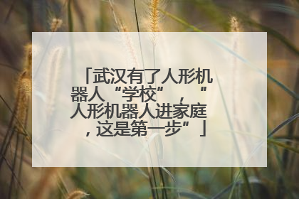 武汉有了人形机器人“学校”，“人形机器人进家庭，这是第一步”