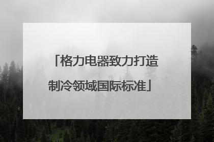 格力电器致力打造制冷领域国际标准
