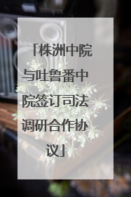 株洲中院与吐鲁番中院签订司法调研合作协议