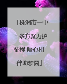 株洲市一中：多方聚力护征程 暖心相伴助梦圆