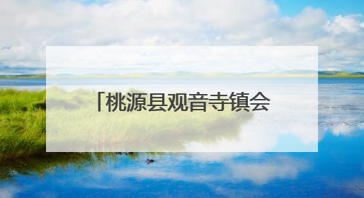 桃源县观音寺镇会人溪村党支部的“48小时”救援纪实