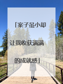 案子虽小却让我收获满满的成就感