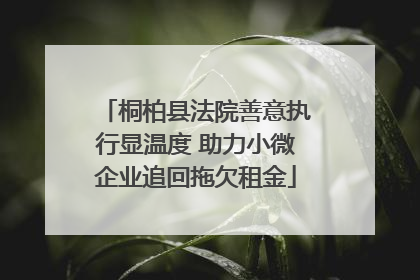 桐柏县法院善意执行显温度 助力小微企业追回拖欠租金
