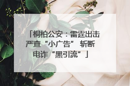 桐柏公安：雷霆出击严查“小广告” 斩断电诈“黑引流”