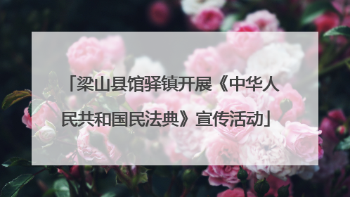 梁山县馆驿镇开展《中华人民共和国民法典》宣传活动