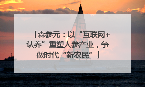 森参元：以“互联网+认养”重塑人参产业，争做时代“新农民”