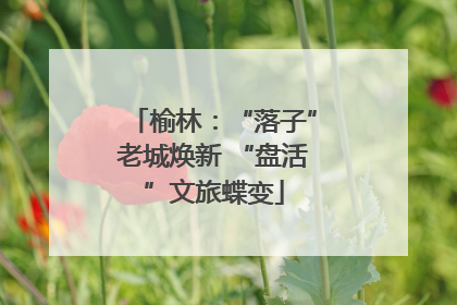 榆林：“落子”老城焕新 “盘活”文旅蝶变