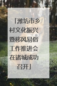 潍坊市乡村文化振兴暨移风易俗工作推进会在诸城成功召开