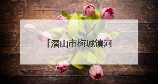 潜山市梅城镇河西幼儿园开展“六一”庆祝活动