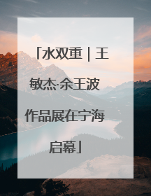 水双重｜王敏杰·余王波作品展在宁海启幕