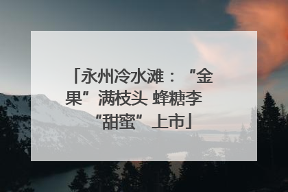 永州冷水滩：“金果”满枝头 蜂糖李“甜蜜”上市