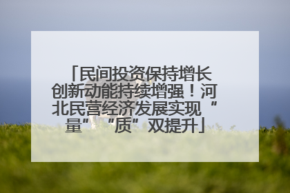 民间投资保持增长 创新动能持续增强！河北民营经济发展实现“量”“质”双提升