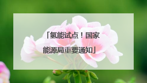 氢能试点！国家能源局重要通知