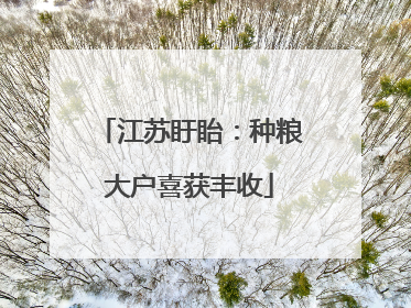 江苏盱眙：种粮大户喜获丰收