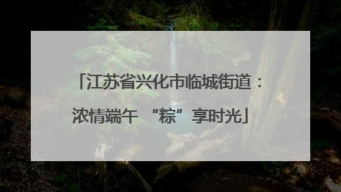 江苏省兴化市临城街道：浓情端午 “粽”享时光