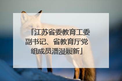 江苏省委教育工委副书记、省教育厅党组成员潘漫履新
