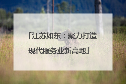 江苏如东：聚力打造现代服务业新高地