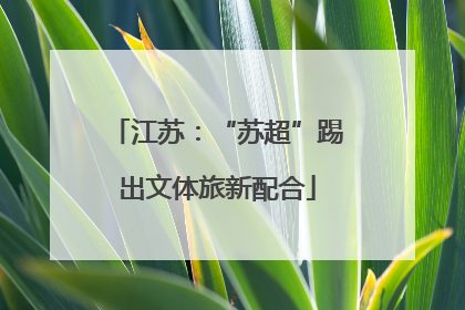 江苏：“苏超”踢出文体旅新配合
