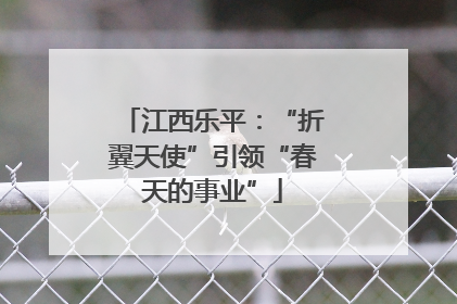 江西乐平：“折翼天使”引领“春天的事业”