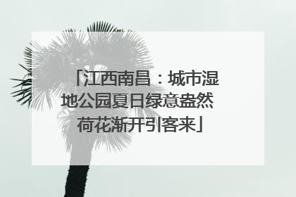 江西南昌：城市湿地公园夏日绿意盎然 荷花渐开引客来