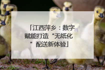 江西萍乡：数字赋能打造“无纸化”配送新体验