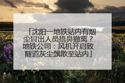 沈阳一地铁站内有烟尘冒出人员捂鼻撤离？地铁公司：风机开启致隧道灰尘飘散至站内