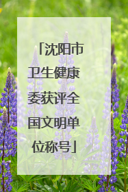 沈阳市卫生健康委获评全国文明单位称号