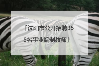 沈阳市公开招聘358名事业编制教师