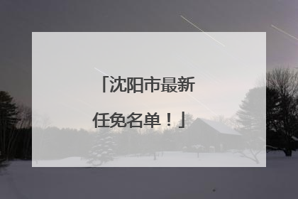 沈阳市最新任免名单！