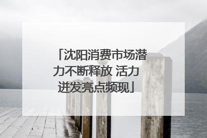 沈阳消费市场潜力不断释放 活力迸发亮点频现