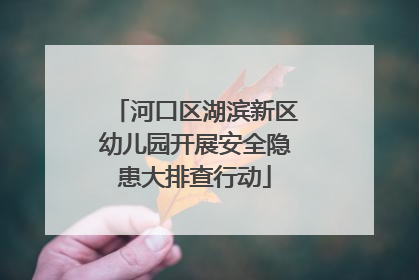 河口区湖滨新区幼儿园开展安全隐患大排查行动