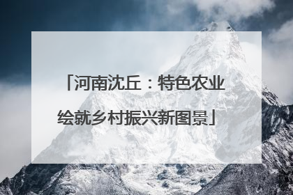 河南沈丘：特色农业绘就乡村振兴新图景