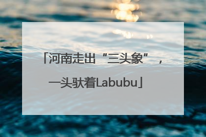 河南走出“三头象”，一头驮着Labubu
