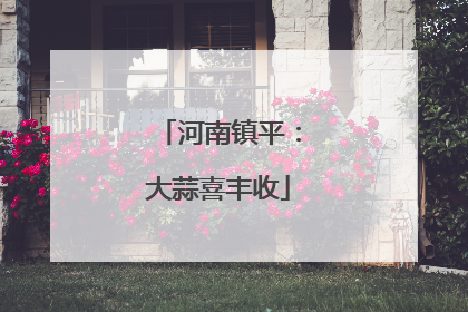河南镇平：大蒜喜丰收