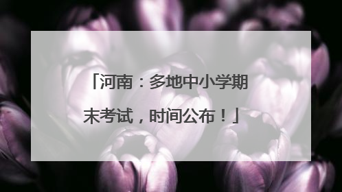 河南：多地中小学期末考试，时间公布！