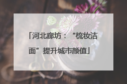 河北廊坊：“梳妆洁面”提升城市颜值