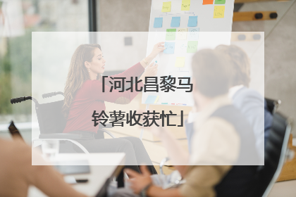 河北昌黎马铃薯收获忙