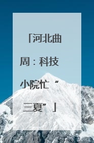 河北曲周：科技小院忙“三夏”