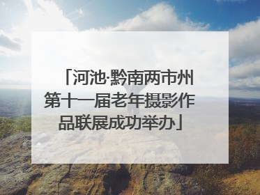 河池·黔南两市州第十一届老年摄影作品联展成功举办
