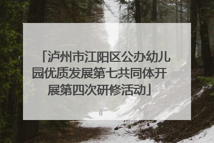泸州市江阳区公办幼儿园优质发展第七共同体开展第四次研修活动