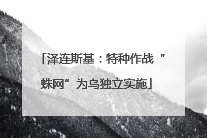 泽连斯基：特种作战“蛛网”为乌独立实施