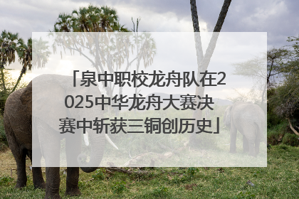 泉中职校龙舟队在2025中华龙舟大赛决赛中斩获三铜创历史