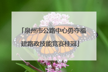 泉州市公路中心勇夺福建路政技能竞赛桂冠