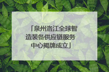 泉州洛江全球智造装备供应链服务中心揭牌成立