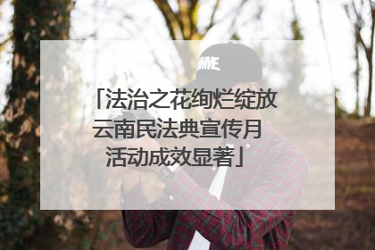 法治之花绚烂绽放 云南民法典宣传月活动成效显著