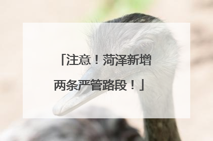 注意！菏泽新增两条严管路段！