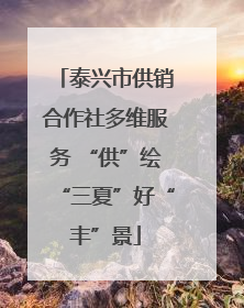 泰兴市供销合作社多维服务 “供”绘“三夏”好“丰”景